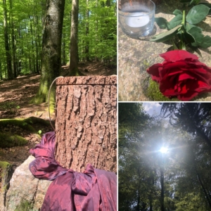 Referenz - Trauerfeier - Claudia Biesinger_3